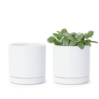 D'vine Dev Set of 2 Plants Pots, 6.5 Inch Ceramic Planter Pot for Plants with Drainage Hole and Saucer, White, 94-V-C-1