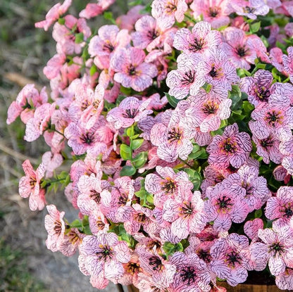 HyeFlora Artificial Flowers for Outdoor Indoor Garden Home Decoration, Faux Flower Daisy with Eucalyptus Leaves Fake Plants Greenery Boxwood Porch Patio, 12 Bundles (Mix Pink Red Purple Yellow)