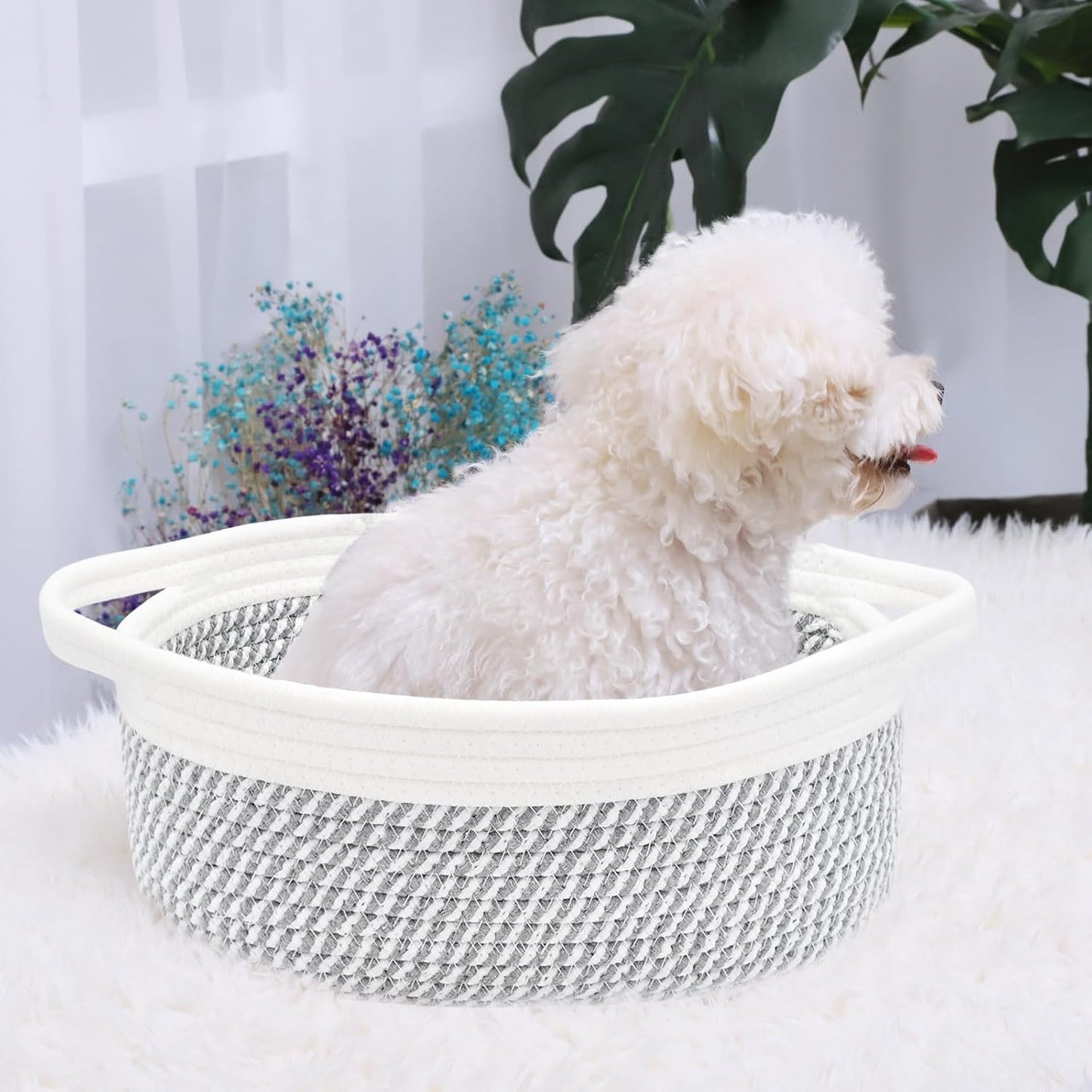 ABenkle Small Basket with Handles, Boho Decorative Rope Woven Dog Cat Toy Storage Bin Shelf Storage Organizer, Easter Christmas Gift Basket, 12"x8"x5", White