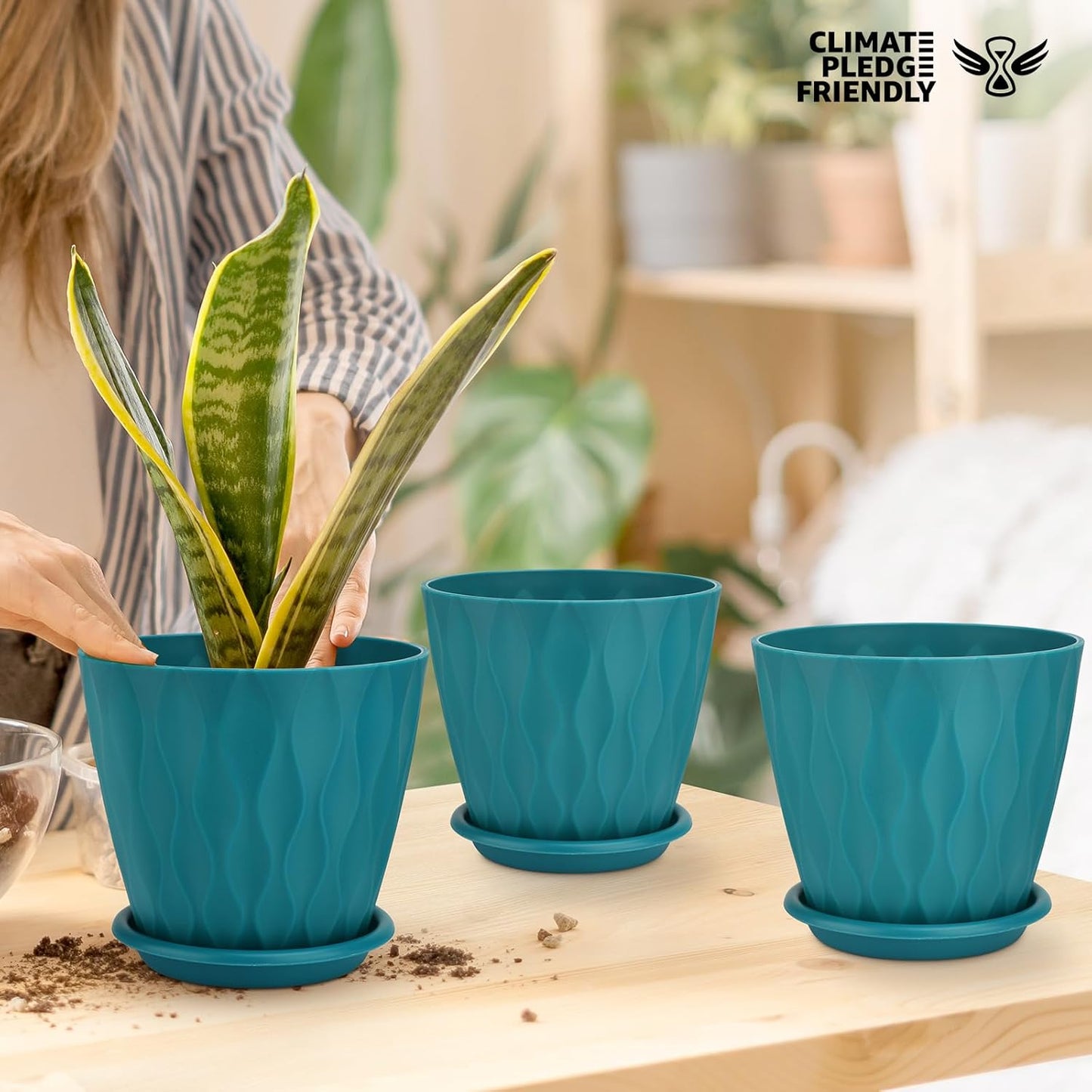 YNNICO 6 inch Plant Pots, 5 Pack Flower Pots Outdoor Indoor, Planters with Drainage Holes and Tray Saucers（Multicolor）
