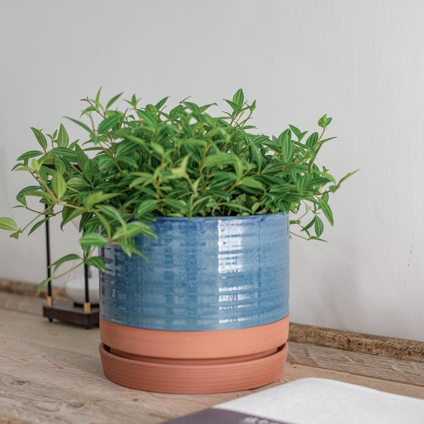HERDUK 6 Inch Plant Pots, Ceramic Planter Pot with Drainage Hole & Saucer, Indoor/Outdoor Cylinder Round Planter Pot, Green & Beige