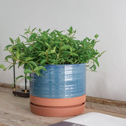 HERDUK 6 Inch Plant Pots, Ceramic Planter Pot with Drainage Hole & Saucer, Indoor/Outdoor Cylinder Round Planter Pot, Green & Beige