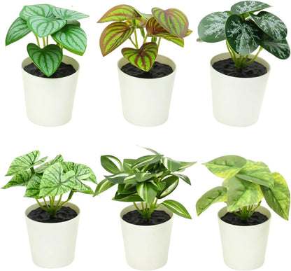Freyalife 6 Pack Fake Plants for Room Decor,Mini Artificial Potted Plants for Home Office Living Kitchen Classroom Table Shelf Desk Farmhouse Bathroom Indoor Decor