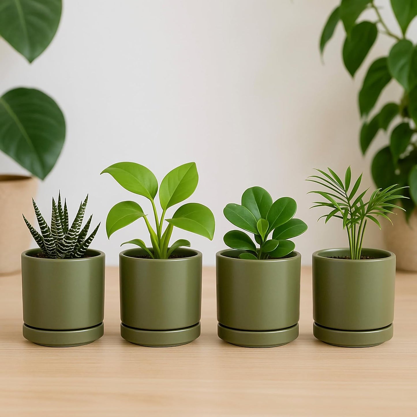 D'vine Dev Set of 2 Plants Pots, 6.5 Inch Ceramic Planter Pot for Plants with Drainage Hole and Saucer, White, 94-V-C-1