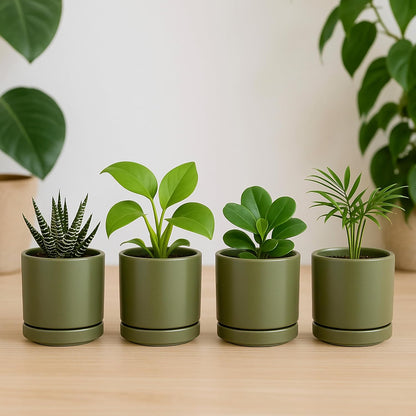 D'vine Dev Set of 2 Plants Pots, 6.5 Inch Ceramic Planter Pot for Plants with Drainage Hole and Saucer, White, 94-V-C-1