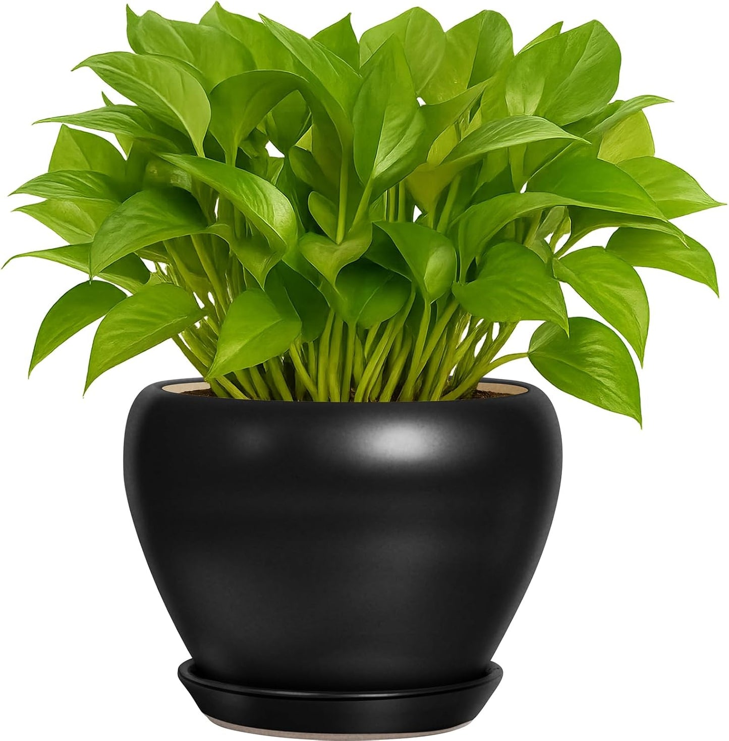Deep Dream 6 Inch Plant Pots- Ceramic Planter Pot with Drainage Hole and Saucer, Round Flower Pot for Indoor Outdoor Succulent, Snake Plants and Cactus, Blue