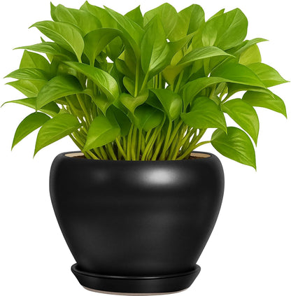 Deep Dream 6 Inch Plant Pots- Ceramic Planter Pot with Drainage Hole and Saucer, Round Flower Pot for Indoor Outdoor Succulent, Snake Plants and Cactus, Blue