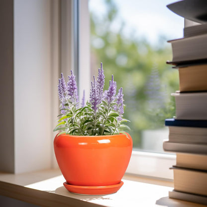 Ceramic Modern Glaze Succulent Planter Pot with Drainage Hole and Saucer 6 Inch Round Flower Plant Pot for Indoor Outdoor Herb Snake Plants