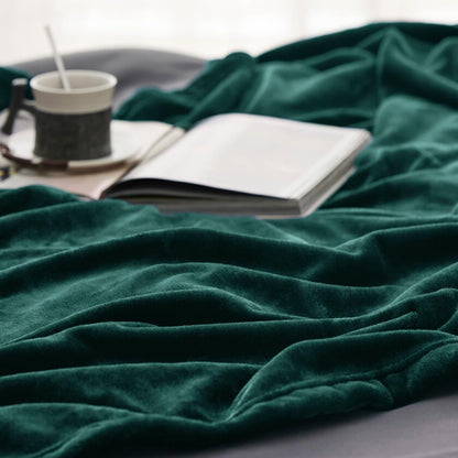 Bedsure GentleSoft Fleece Throw Blanket for Couch Grey - Lightweight Plush Fuzzy Cozy Soft Blankets and Throws for Sofa, Couch, Travel, Camping, 50x60 inches - Colors B