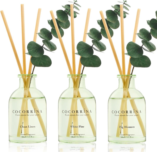 COCORRÍNA Eucalyptus Reed Diffuser Set of 3 - Lavender Eucalyptus, Black Forest, Clean Cotton Scents, 1.7 fl oz Each, Total 5.1 oz, Scented Oil Diffusers for Home & Office﻿