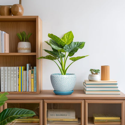 6 Inch Plant Pot - Ceramic Pots for Plants with Drainage Hole and Saucer, Round Succulent Planter Indoor Outdoor, Modern Flower Pot for Snake Plants, Home Decor, Gifts for Plant Lover, Blue