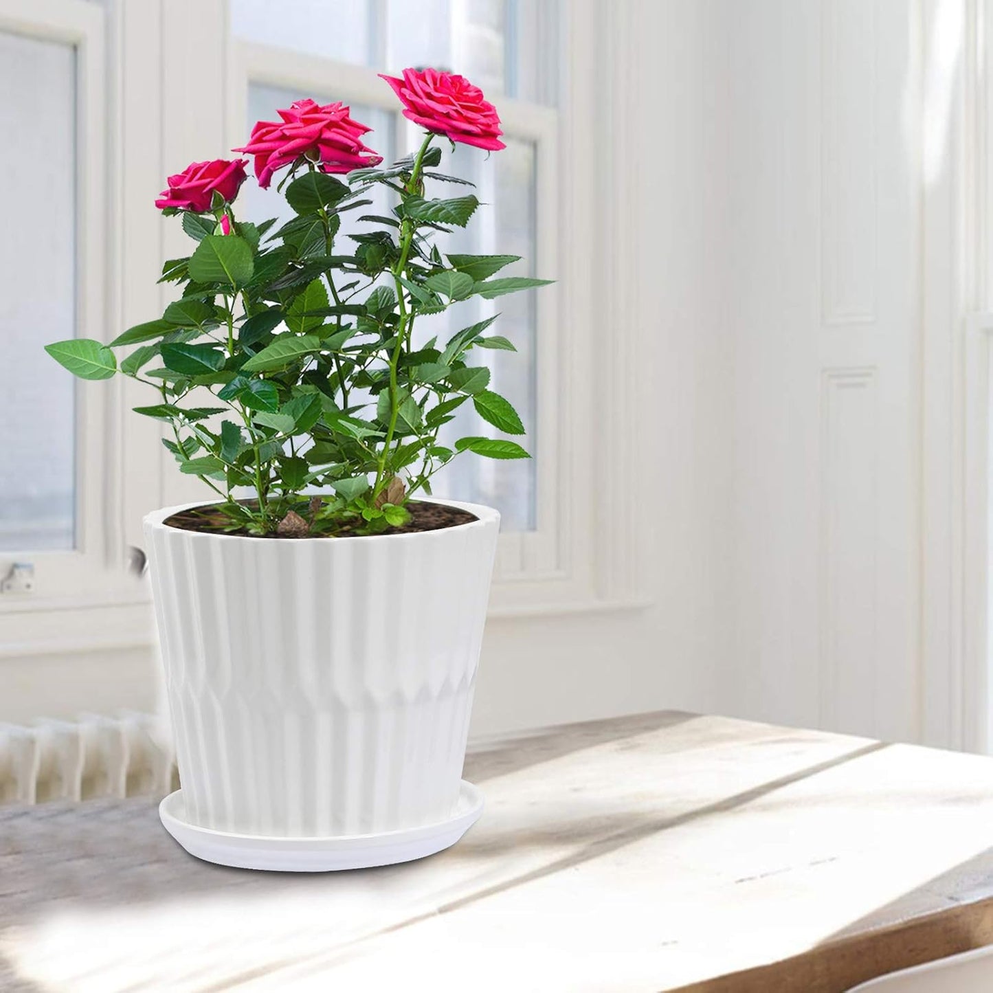 sietpoek Plant Pots - 5.5 Inch Cylinder Ceramic Planters with Connected Saucer, Pots for Succuelnt and Little Snake Plants, Set of 4, White