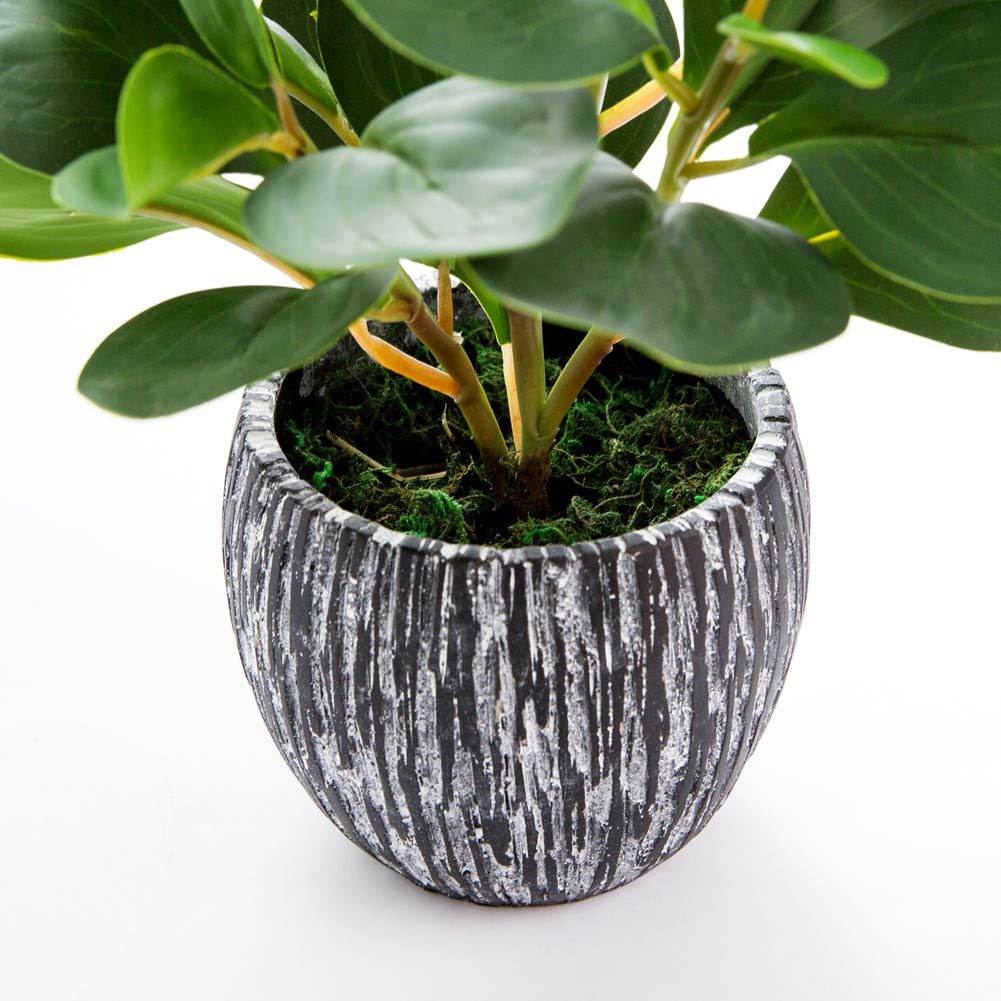 AlphaAcc Artificial Plants Decor Greenery Fake Succulents Indoor Potted Fake Plant with Rustic Black Clay Planter for Home Decor Farmhouse Room Bathroom Bedroom Kitchen Office Table Decor