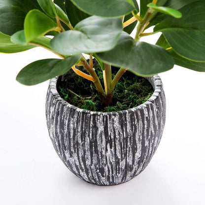 AlphaAcc Artificial Plants Decor Greenery Fake Succulents Indoor Potted Fake Plant with Rustic Black Clay Planter for Home Decor Farmhouse Room Bathroom Bedroom Kitchen Office Table Decor
