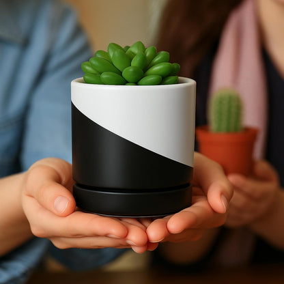 D'vine Dev 6.5 Inch Ceramic Planter Pot with Drainage Hole and Saucer, Indoor Cylinder Round Planter Pot, Olive, 94-O-C-J