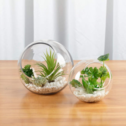 WGVI Clear Slant Cut Bowl Glass Vase, Glass Terrarium, Candy Dish, Glassware, Slant Open: 7". Height: 6" x 2.7". Base: 4" (1 Piece)