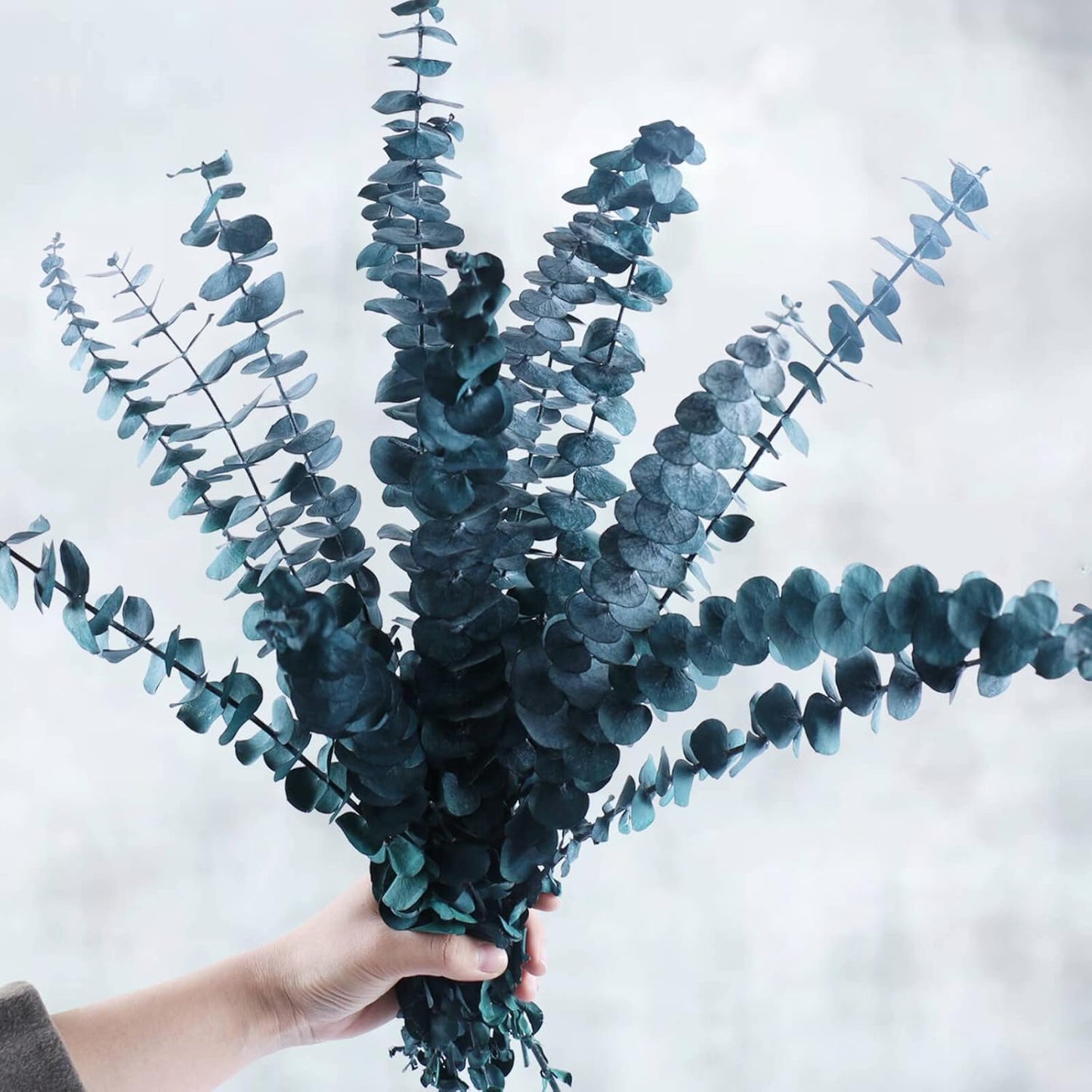 52 PCS Mix Dried Eucalyptus & Lavender Flowers Bundles for Shower, 17'' Natural Real Hanging Silver Dollar Eucalyptus Leaves Stems, Fragrance Fresh Plants Home Bathroom Decor (52pcs)