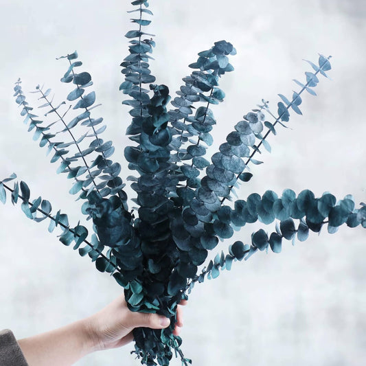 52 PCS Mix Dried Eucalyptus & Lavender Flowers Bundles for Shower, 17'' Natural Real Hanging Silver Dollar Eucalyptus Leaves Stems, Fragrance Fresh Plants Home Bathroom Decor (52pcs)