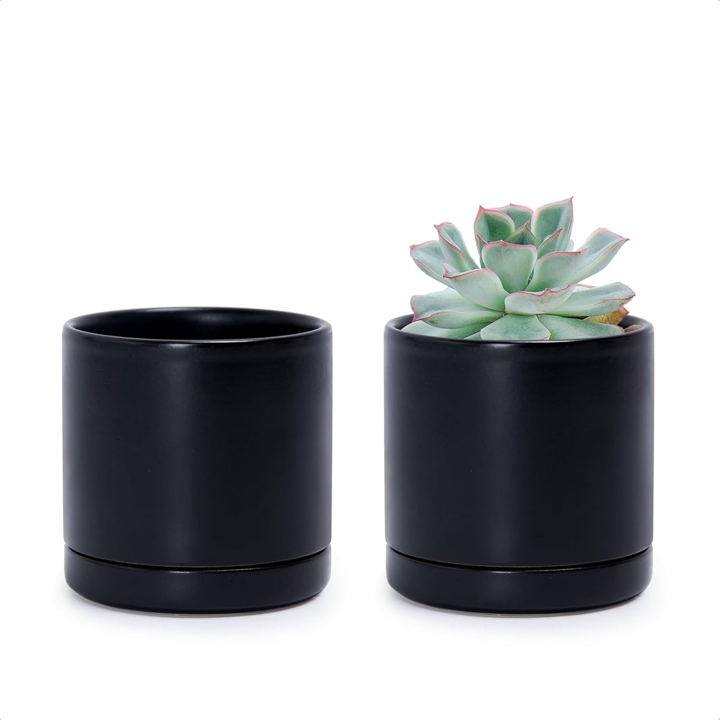 D'vine Dev Set of 2 Plants Pots, 6.5 Inch Ceramic Planter Pot for Plants with Drainage Hole and Saucer, White, 94-V-C-1