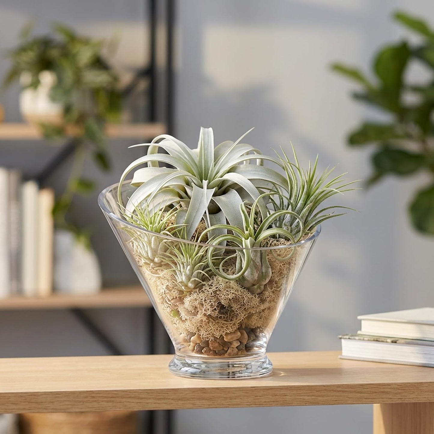 WGVI Clear Slant Cut Bowl Glass Vase, Glass Terrarium, Candy Dish, Glassware, Slant Open: 7". Height: 6" x 2.7". Base: 4" (1 Piece)