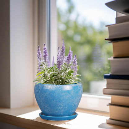 Ceramic Modern Glaze Succulent Planter Pot with Drainage Hole and Saucer 6 Inch Round Flower Plant Pot for Indoor Outdoor Herb Snake Plants