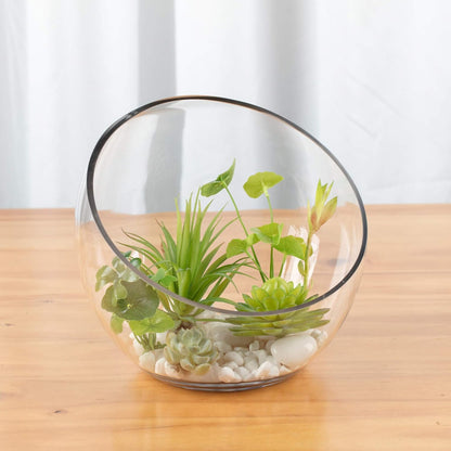 WGVI Clear Slant Cut Bowl Glass Vase, Glass Terrarium, Candy Dish, Glassware, Slant Open: 7". Height: 6" x 2.7". Base: 4" (1 Piece)