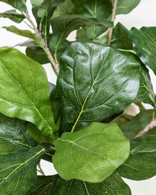 Artificial Fiddle Leaf Fig Tree 6FT - Large Fake Tree with White Planter, Tall Faux Ficus Lyrata Tree Floor Plants for Indoor Home Decor Office Living Room Housewarming Gift, 1Pack