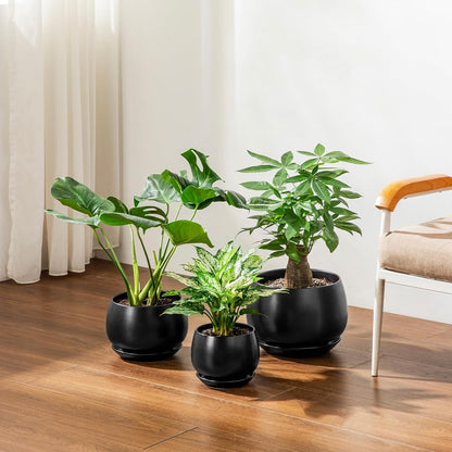 vancasso 3-Pack Ceramic Plant Pots, 3.7/4.8/6.2 Inch Indoor Planters with Saucers & Drainage Hole Planter pots for Indoor Plants and Flower, White