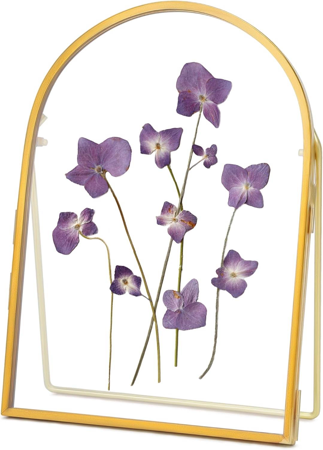 REDHUGO Double Glass Frame for Pressed Flowers Handmade, Metal Floating Picture Frame for Pressed Flower, Tabletop Display, Brass, ArcShaped, Black, 4x6 inches (FRAME ONLY)