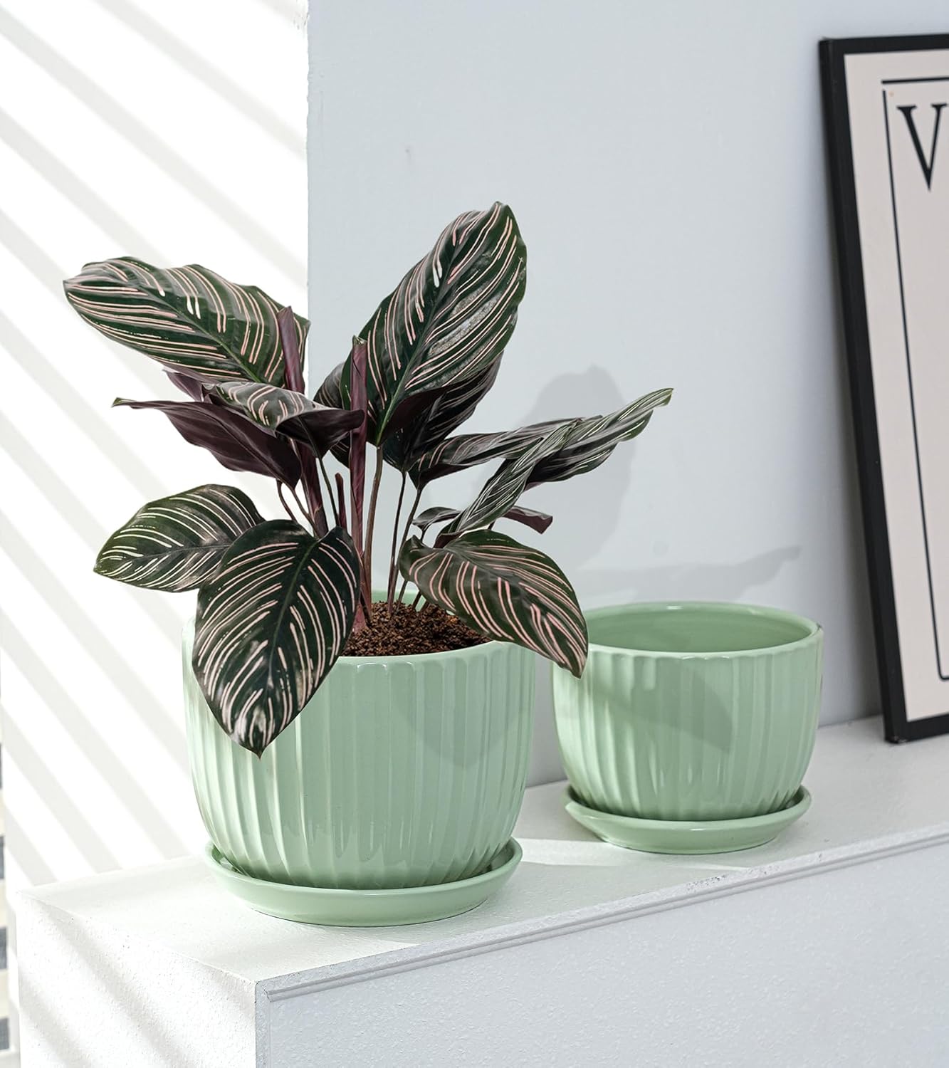 Ton Sin Pink Gold Ceramic Flower Pots, 4"+5"+6" Inch Small Glazed Succulent Planters with Drainage Hole,Modern Indoor Decorative Plant Pots Set of 3,Garden Pots with Saucer