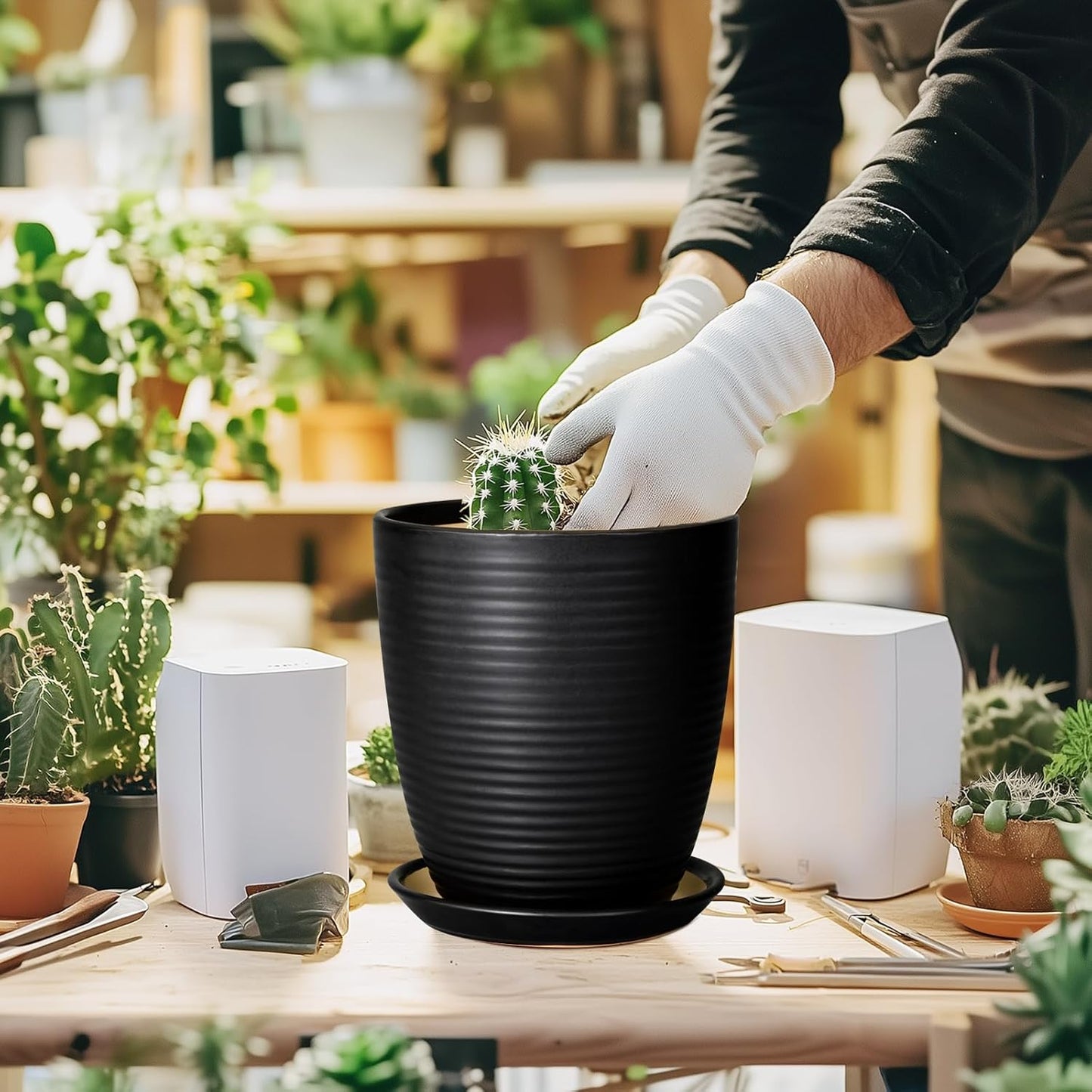 Ceramic Pots for Plants - 6 Inch Plant Pot with Drainage Hole and Saucer, Round Planters for Indoor Outdoor, Flower Pots, Modern Planter, Home Office Room Decor, Gifts for Plant Lovers, White