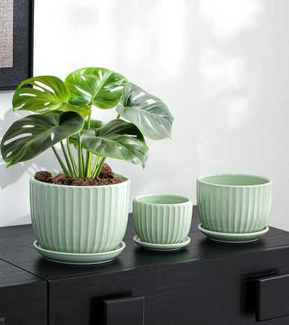 Ton Sin Pink Gold Ceramic Flower Pots, 4"+5"+6" Inch Small Glazed Succulent Planters with Drainage Hole,Modern Indoor Decorative Plant Pots Set of 3,Garden Pots with Saucer