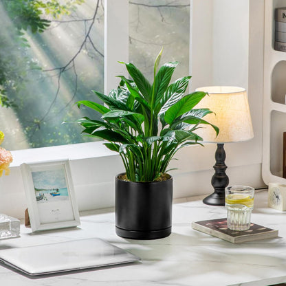 vancasso Ceramic Plant Pots, 3 Piece Planters for Indoor Plants, 4.25+5.25+6.25 Inch Flower Pots with Drainage, Plant Pots Indoor for Succulent, Pothos, Snake Plant and Money Tree, Etc (White)