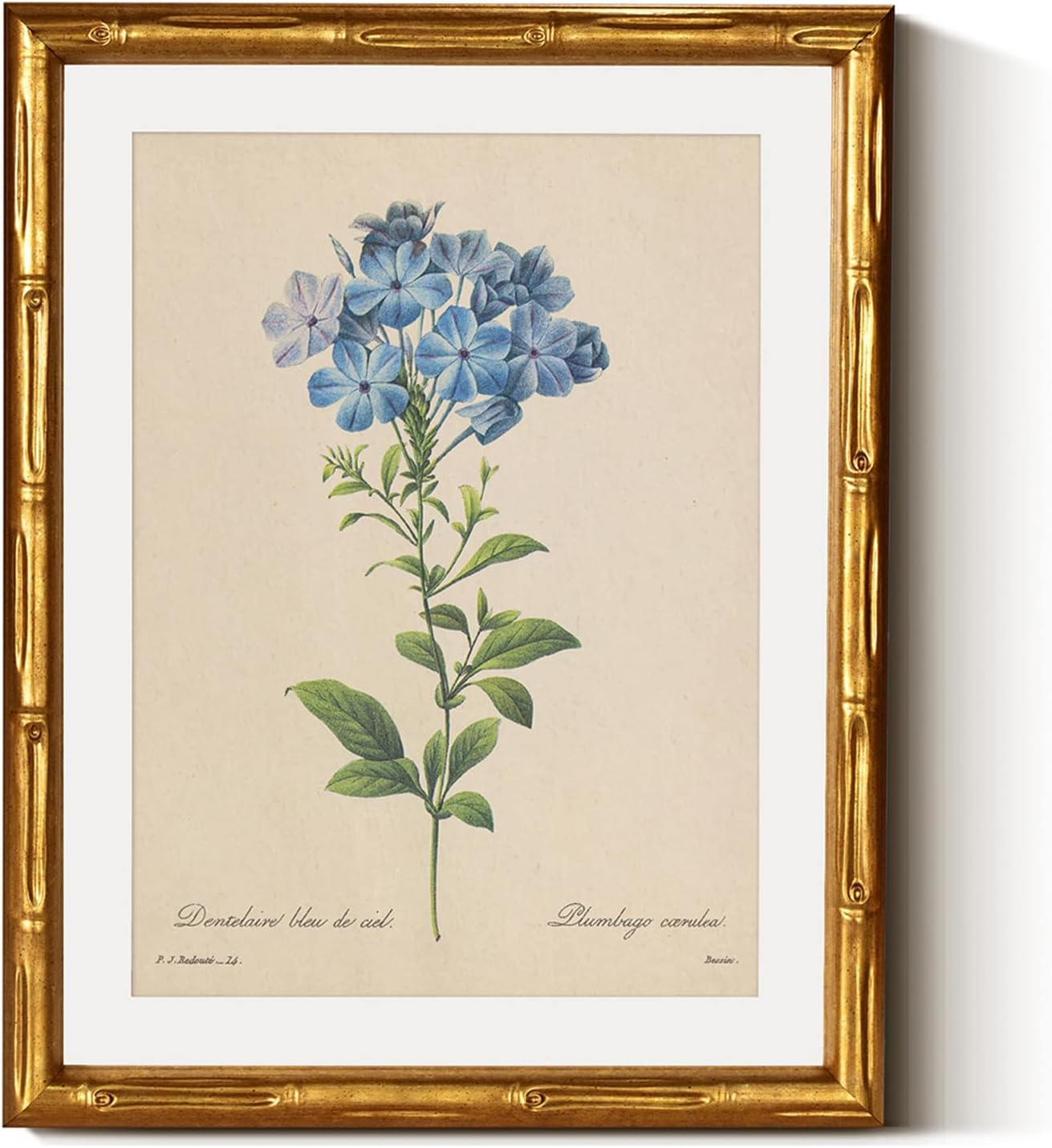 InSimSea Gold Bamboo Framed Canvas Wall Art, Retro Blue Hydrangea Botanical Prints, Antique Flowers Picture Frame with Mat, Victorian Home Wall Decor for Kitchen Living Room Bedroom, 11x14inch