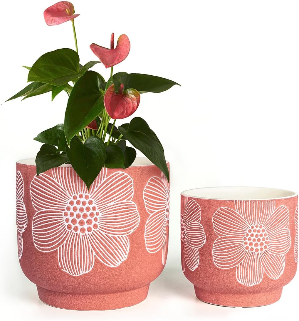 YBX 8 Inch + 6 Inch Ceramic Plant Pots, Succulent Flower Pots with Drainage Holes, Terracotta Planters for Indoor Plants, White&Terracotta (Garden)