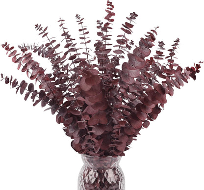 Real Eucalyptus Stems 20PCS Dried Preserved Fresh Eucalyptus Silver Dollar Leaves for Shower - Greenery Branches for Wedding Home Party Vase Filler Spring Decor