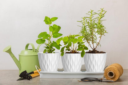 4 Inch Plant Pots, 6 Pack Indoor Flower Pots, Planters with Drainage Holes and Trays for Orchids, Violets, Succulents, Herbs, and Other Plants,Corolful