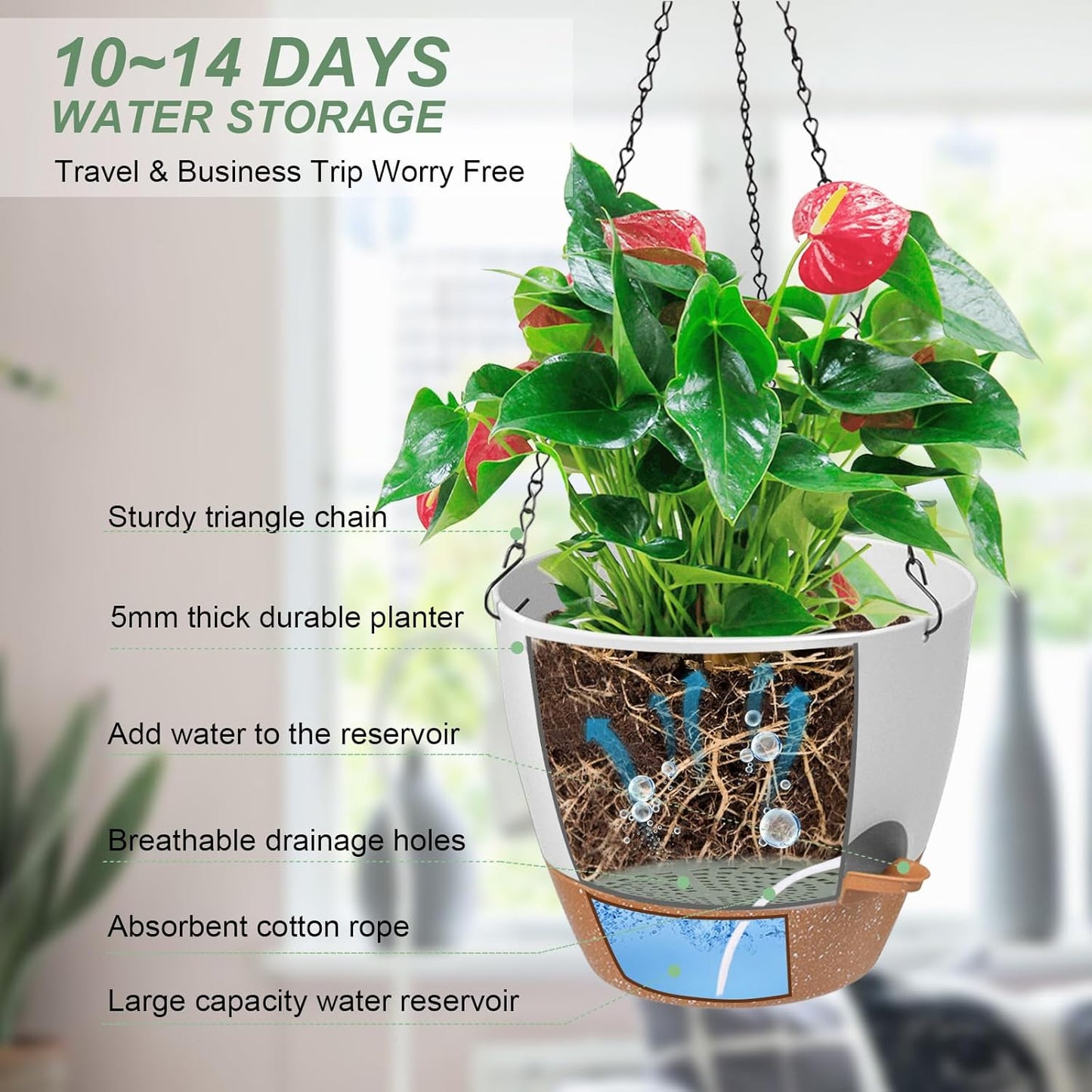 Vanslogreen Hanging Planters for Indoor Outdoor Plants, 2 Pack Self Watering Hanging Pot with Drainage Holes & Removable Tray (Black, 8'')