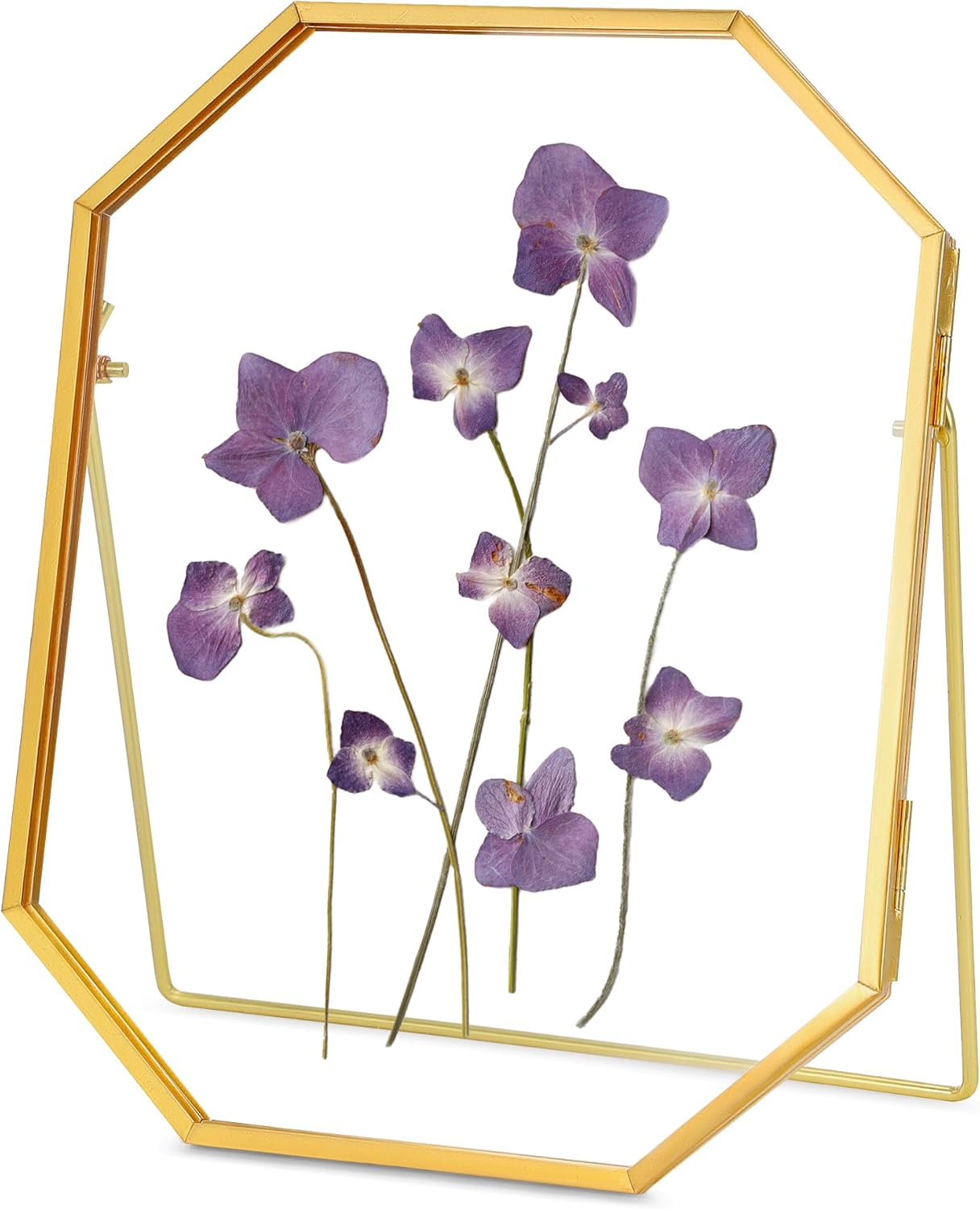 REDHUGO Glass Pressed Flower Frame Handmade, Metal Floating Picture Frame, Double Glass for Tabletop Display, Unique Brass Octagon, Gold, 5x7 Inches (Frame Only)
