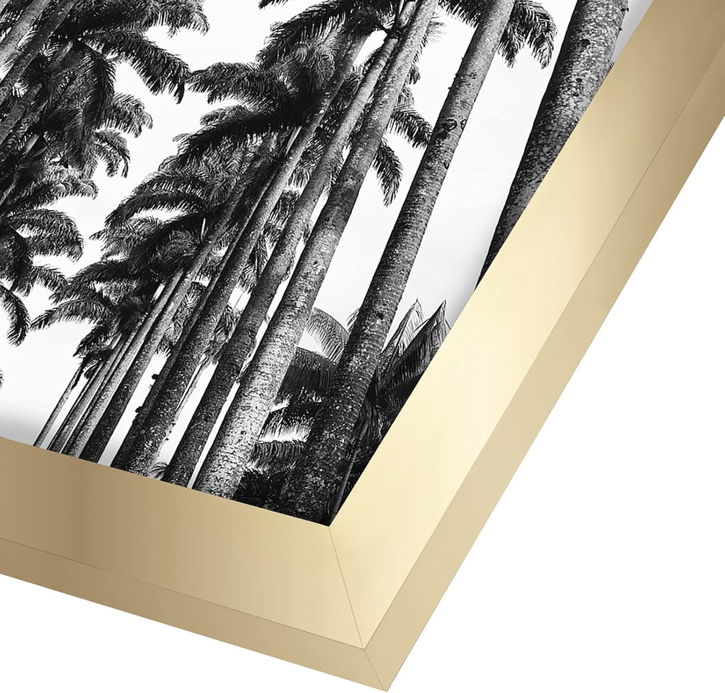 Americanflat 16x20 Picture Frame with Polished Plexiglass - Black Picture Frame - Wide Photo Frames Made of Engineered Wood for Vertical or Horizontal Wall Display - Epic Collection - Black - Colors A