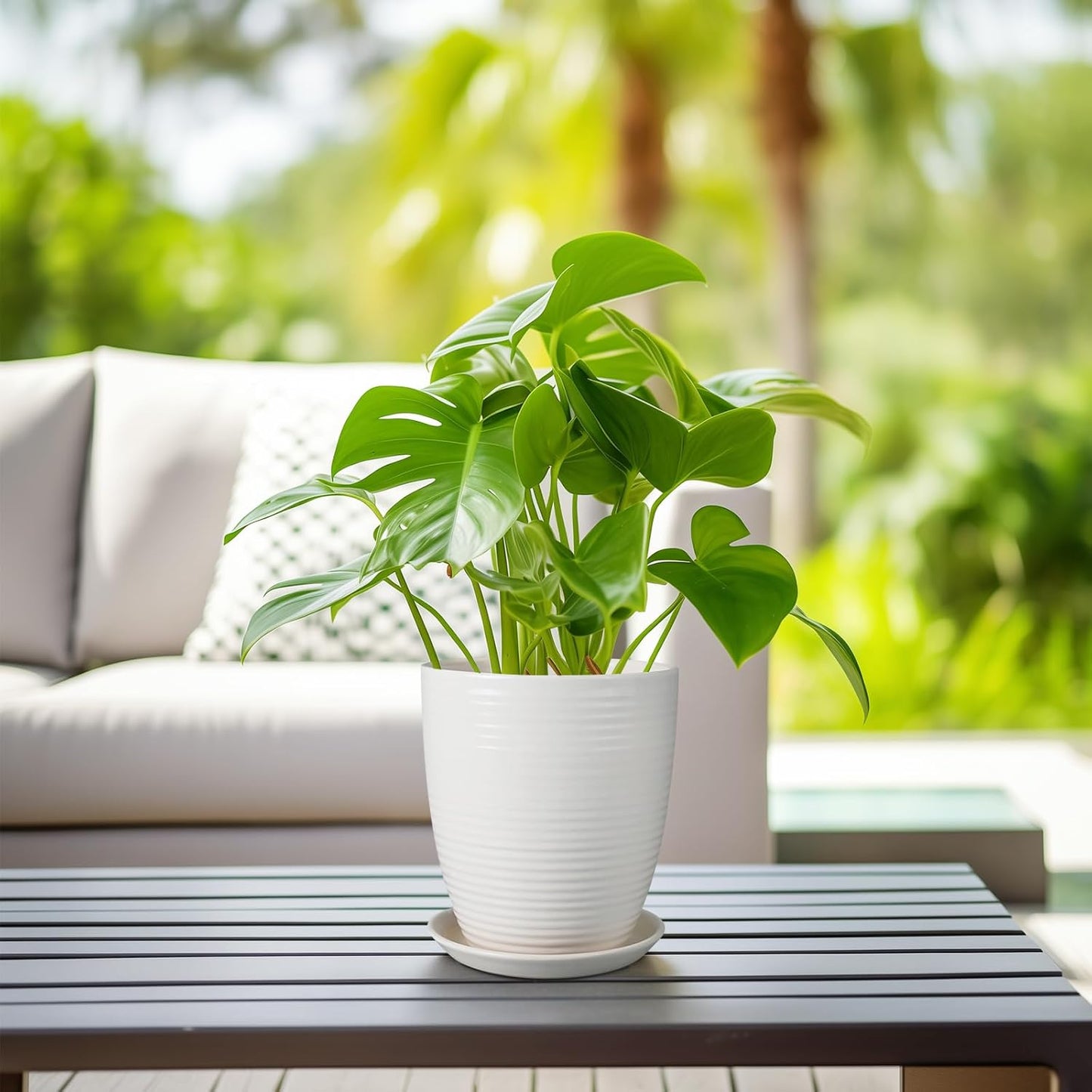 Ceramic Pots for Plants - 6 Inch Plant Pot with Drainage Hole and Saucer, Round Planters for Indoor Outdoor, Flower Pots, Modern Planter, Home Office Room Decor, Gifts for Plant Lovers, White