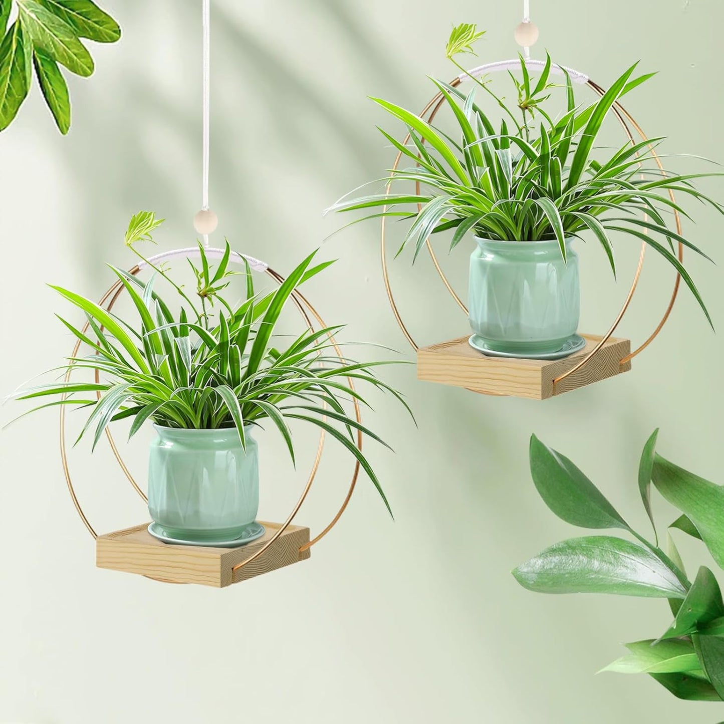 Hanging Planter for Indoor Plants, Black Plant Hanger Indoor with Sturdy Wood Base, Modern Boho Macrame Plant Hanger for 3-5.5 Inch Pot, Hanging Wall Ceiling Window Home Decor (Pots Not Included)