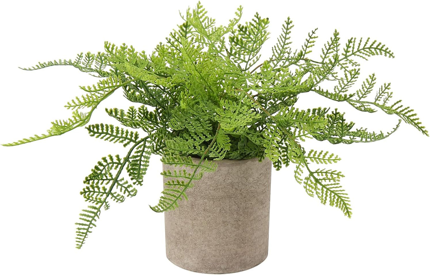Briful Small Fake Plant Potted Plants Artificial Decor Plastic Asparagus Ferns Plant Faux Plants in Pots for Home Living Room Bedroom Desk Shelf Farmhouse Decoration