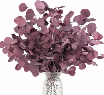 Real Eucalyptus Stems 20PCS Dried Preserved Fresh Eucalyptus Silver Dollar Leaves for Shower - Greenery Branches for Wedding Home Party Vase Filler Spring Decor