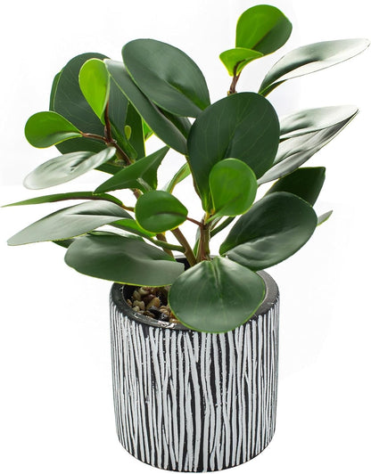 AlphaAcc Artificial Plants Decor Greenery Fake Succulents Indoor Potted Fake Plant with Rustic Black Clay Planter for Home Decor Farmhouse Room Bathroom Bedroom Kitchen Office Table Decor