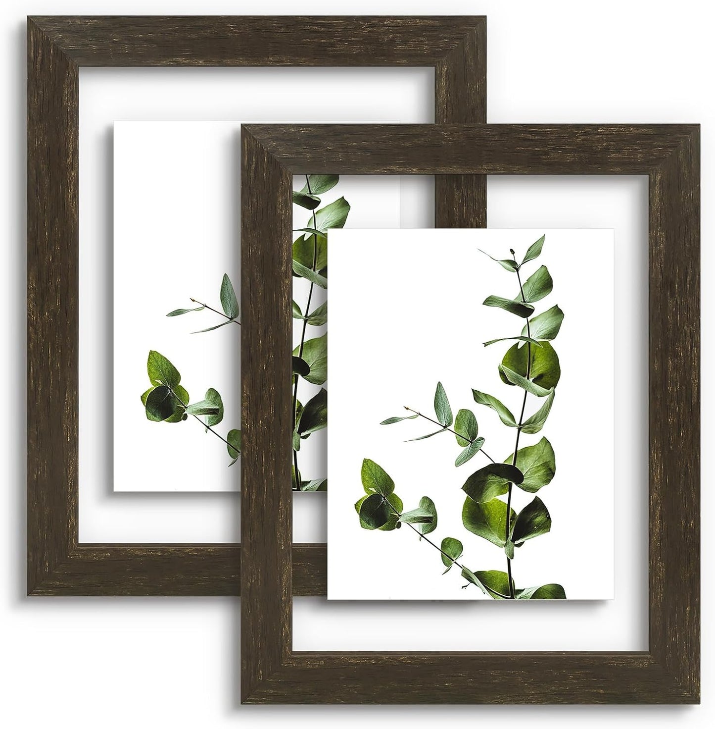 Golden State Art, 11X14 Floating Picture Frame, Black Wood Frame Display Any Size Photo Up To 11X14, Pressed Flower Frames with Hanging Hardware - Horizontal And Vertical Formats for Wall