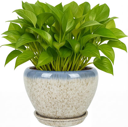 Deep Dream 6 Inch Plant Pots- Ceramic Planter Pot with Drainage Hole and Saucer, Round Flower Pot for Indoor Outdoor Succulent, Snake Plants and Cactus, Blue