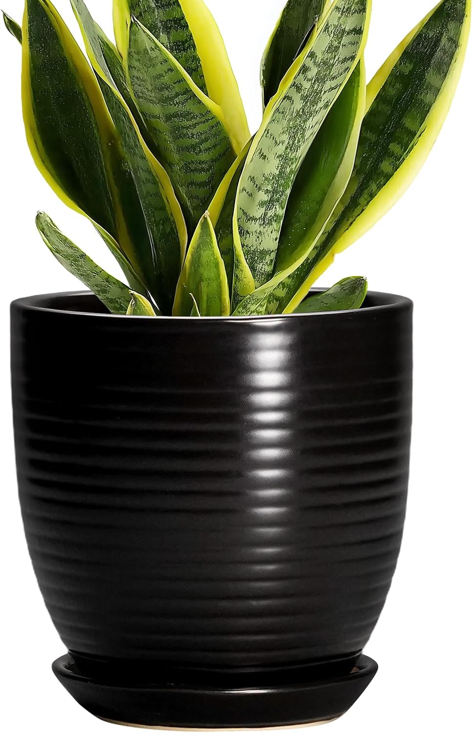 Ceramic Pots for Plants - 6 Inch Plant Pot with Drainage Hole and Saucer, Round Planters for Indoor Outdoor, Flower Pots, Modern Planter, Home Office Room Decor, Gifts for Plant Lovers, White
