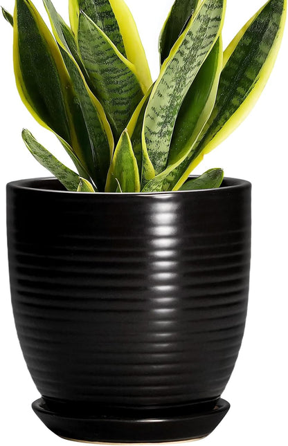 Ceramic Pots for Plants - 6 Inch Plant Pot with Drainage Hole and Saucer, Round Planters for Indoor Outdoor, Flower Pots, Modern Planter, Home Office Room Decor, Gifts for Plant Lovers, White