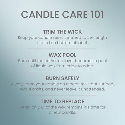Yankee Candle Balsam & Cedar, Scented Candle, 22oz Large Jar with up to 150 Hour Burn Time, Giftable